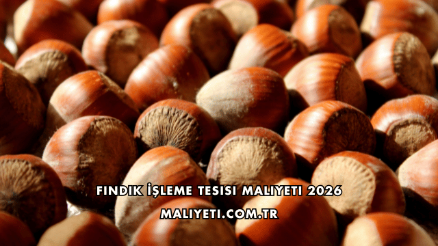 Fındık İşleme Tesisi Maliyeti 2026