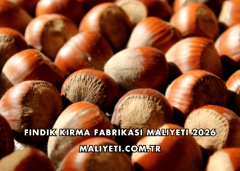Fındık Kırma Fabrikası Maliyeti 2026