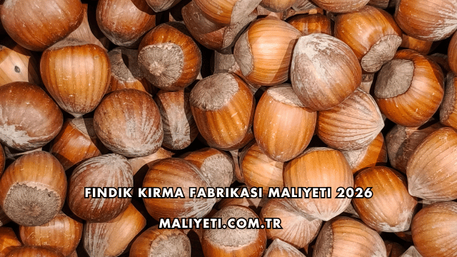 Fındık Kırma Fabrikası Maliyeti 2026