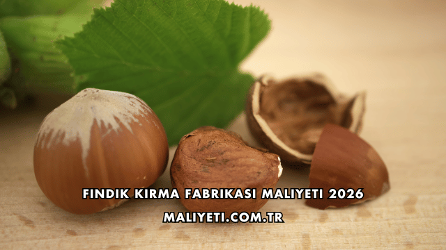 Fındık Kırma Fabrikası Maliyeti 2026