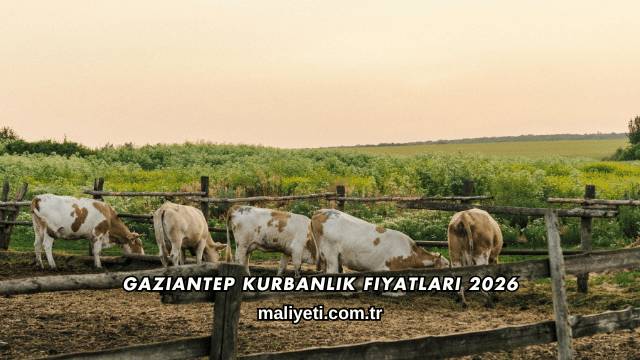 Gaziantep Kurbanlık Fiyatları 2026