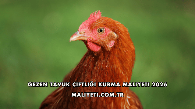 Gezen Tavuk Çiftliği Kurma Maliyeti 2026