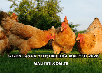 Gezen Tavuk Yetiştiriciliği Maliyeti 2026