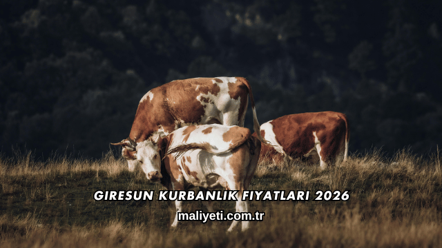 Giresun Kurbanlık Fiyatları 2026