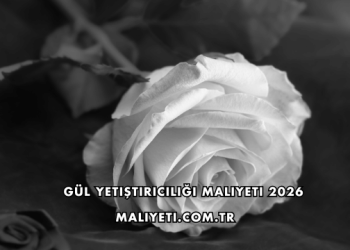 Gül Yetiştiriciliği Maliyeti 2026