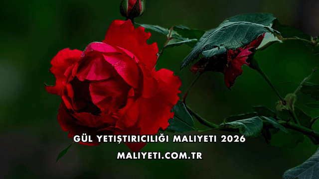 Gül Yetiştiriciliği Maliyeti 2026