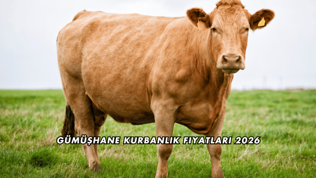 Gümüşhane Kurbanlık Fiyatları 2026