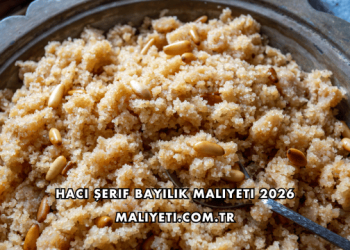 Hacı Şerif Bayilik Maliyeti 2026