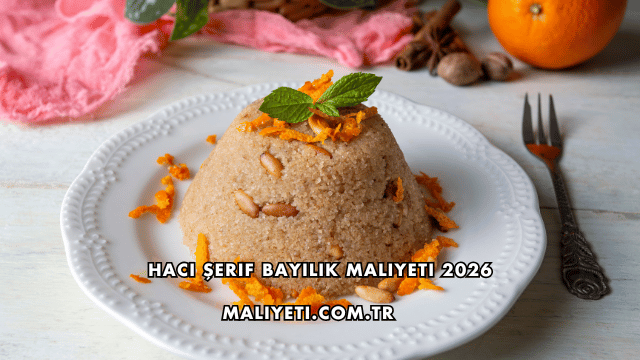 Hacı Şerif Bayilik Maliyeti 2026
