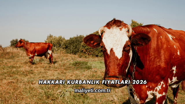 Hakkari Kurbanlık Fiyatları 2026