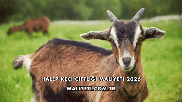 Halep Keçi Çiftliği Maliyeti 2026