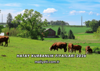 Hatay Kurbanlık Fiyatları 2026