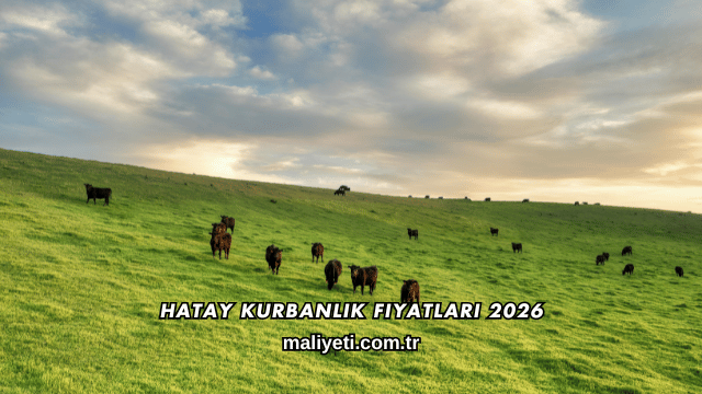 Hatay Kurbanlık Fiyatları 2026