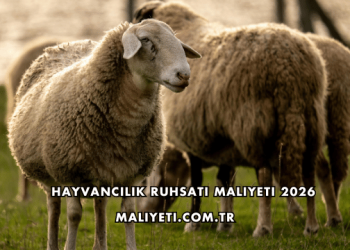 Hayvancılık Ruhsatı Maliyeti 2026