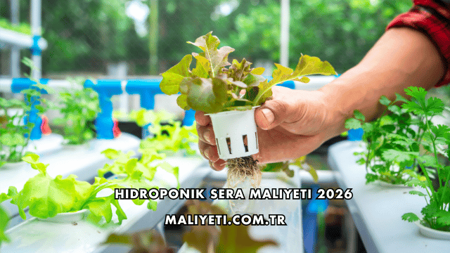 Hidroponik Sera Maliyeti 2026