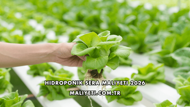 Hidroponik Sera Maliyeti 2026