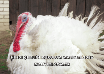 Hindi Çiftliği Kurulum Maliyeti 2026