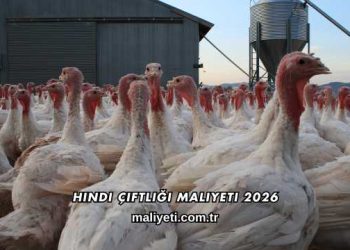 Hindi Çiftliği Maliyeti 2026