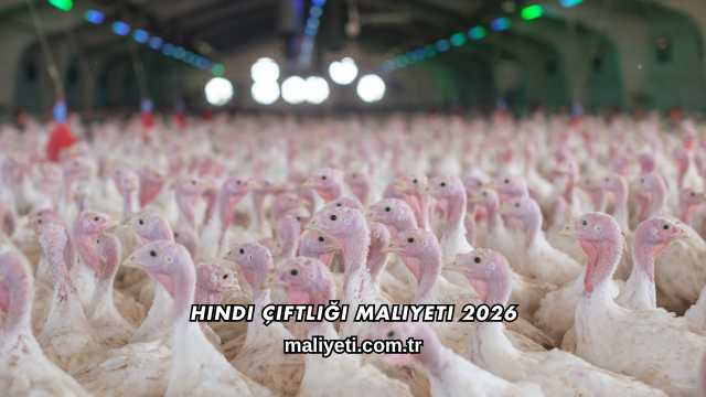 Hindi Çiftliği Maliyeti 2026