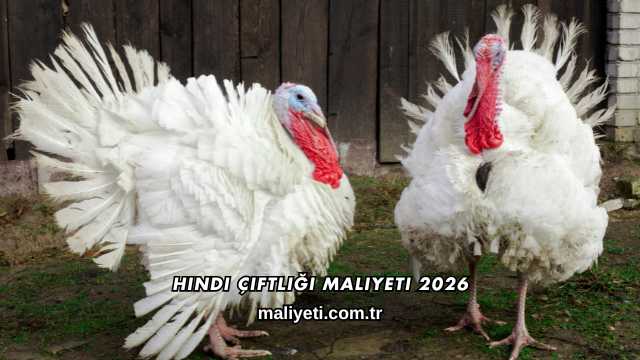 Hindi Çiftliği Maliyeti 2026
