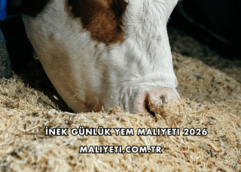 İnek Günlük Yem Maliyeti 2026