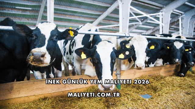 İnek Günlük Yem Maliyeti 2026