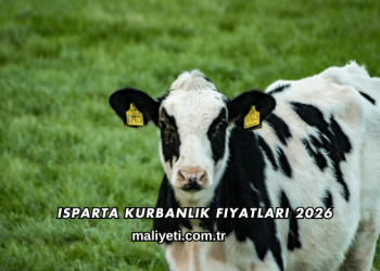 Isparta Kurbanlık Fiyatları 2026