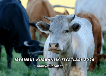 İstanbul Kurbanlık Fiyatları 2026