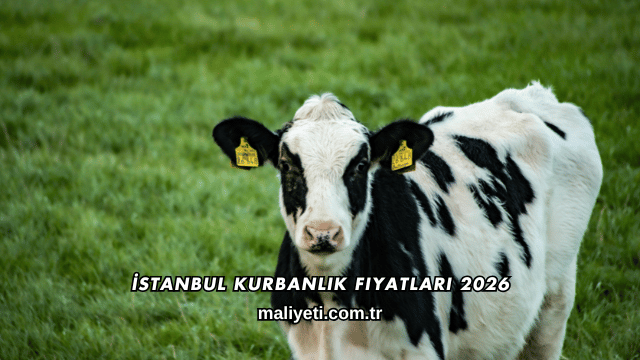 İstanbul Kurbanlık Fiyatları 2026
