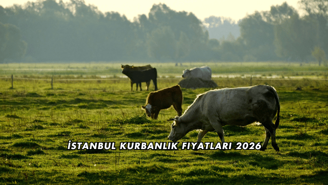 İstanbul Kurbanlık Fiyatları 2026