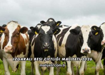Izgaralı Besi Çiftliği Maliyeti 2026