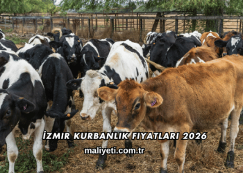 İzmir Kurbanlık Fiyatları 2026