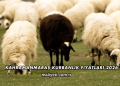 Kahramanmaraş Kurbanlık Fiyatları 2026