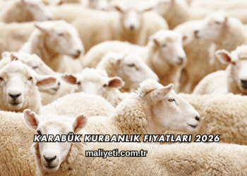 Karabük Kurbanlık Fiyatları 2026