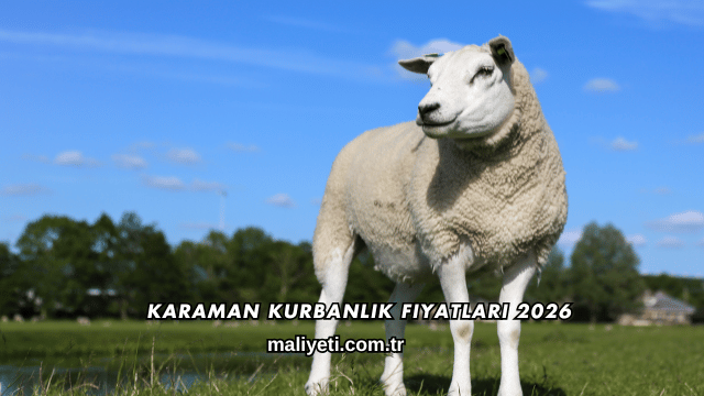 Karaman Kurbanlık Fiyatları 2026
