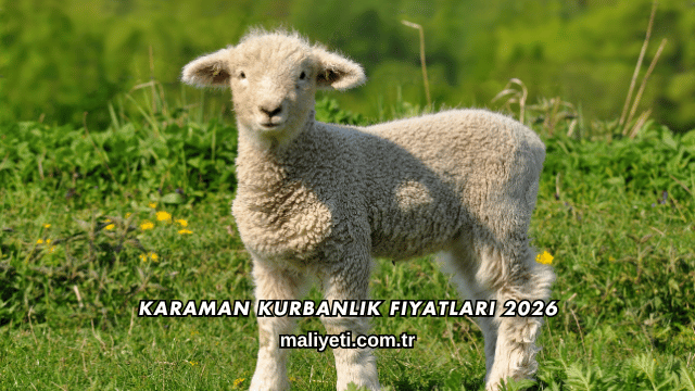 Karaman Kurbanlık Fiyatları 2026