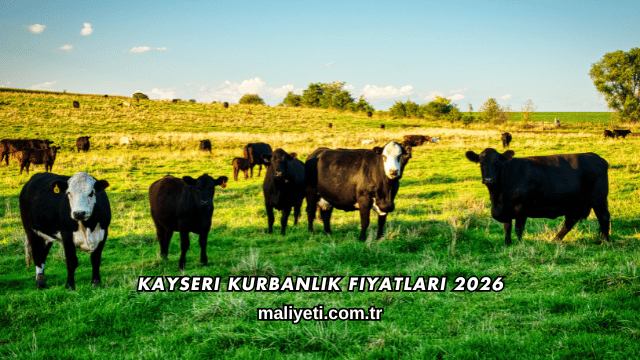 Kayseri Kurbanlık Fiyatları 2026