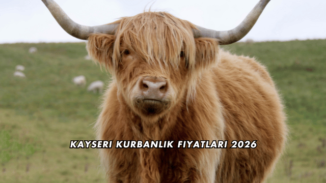Kayseri Kurbanlık Fiyatları 2026