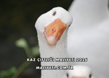 Kaz Çiftliği Maliyeti 2026