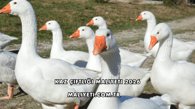 Kaz Çiftliği Maliyeti 2026