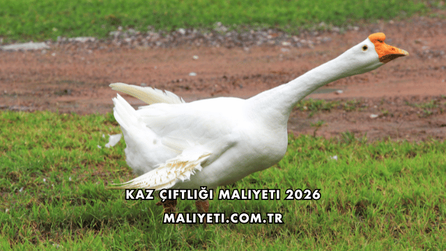 Kaz Çiftliği Maliyeti 2026