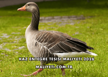 Kaz Entegre Tesisi Maliyeti 2026