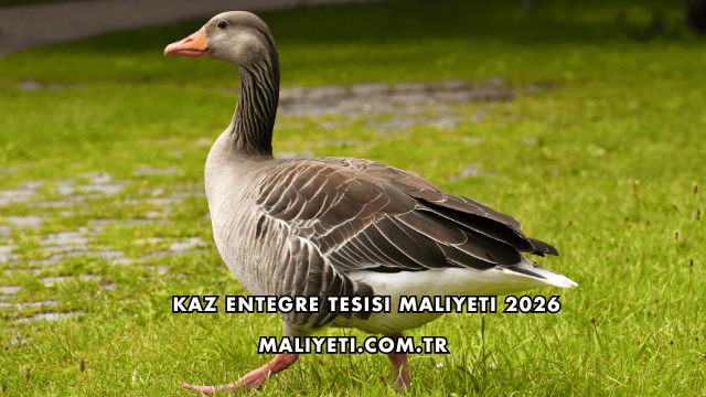 Kaz Entegre Tesisi Maliyeti 2026