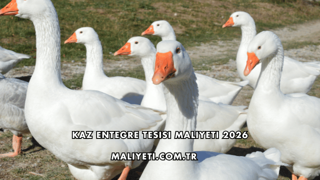 Kaz Entegre Tesisi Maliyeti 2026