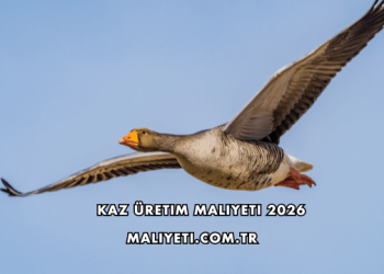 Kaz Üretim Maliyeti 2026