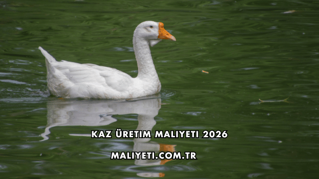 Kaz Üretim Maliyeti 2026
