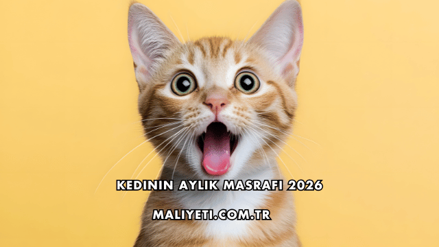 Kedinin Aylık Masrafı 2026