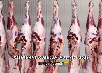 Kesimhane Kurulum Maliyeti 2026