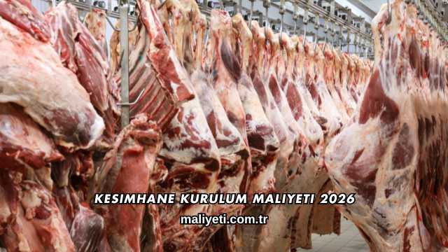 Kesimhane Kurulum Maliyeti 2026