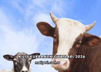 Kilis Kurbanlık Fiyatları 2026
